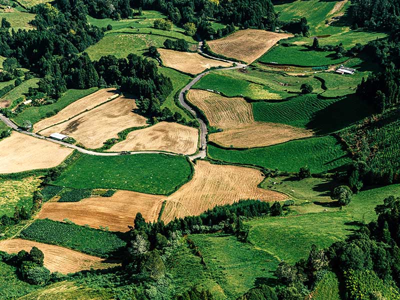 Terrenos